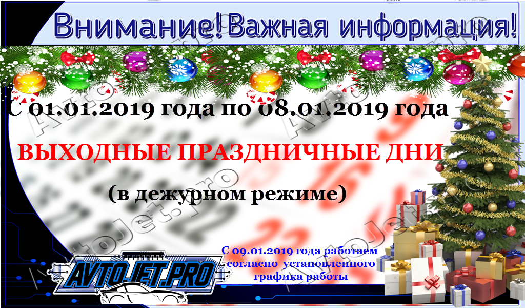 Vykhodnye v ianvare 2019