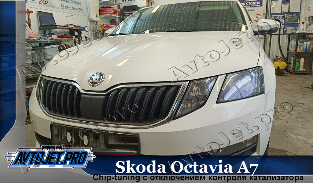 Chip-tuning_Skoda Octavia А7 _AvtoJet.pro