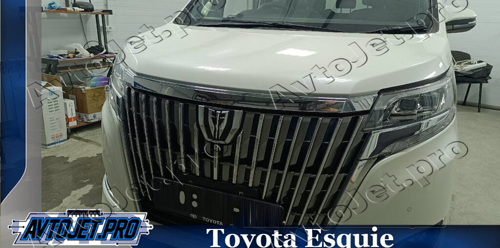 Chip-tuning автомобиля Toyota Esquie