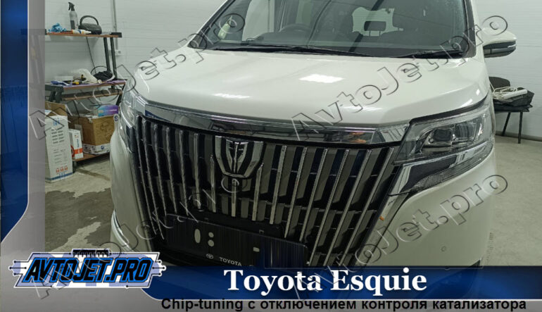 Chip-tuning автомобиля Toyota Esquie