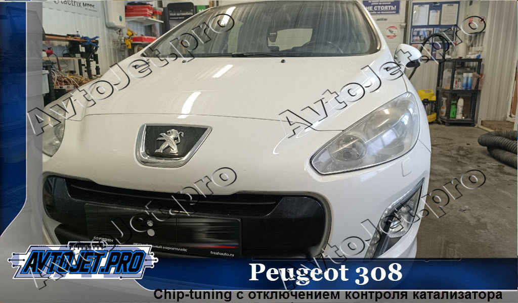Chip-tuning_Peugeot 308_AvtoJet.pro